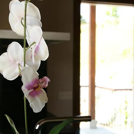 A El Casal Apartment